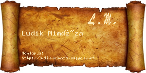 Ludik Mimóza névjegykártya